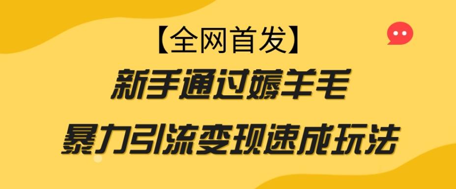 【全网首发】新手通过薅羊毛暴力引流变现速成玩法-网创资源