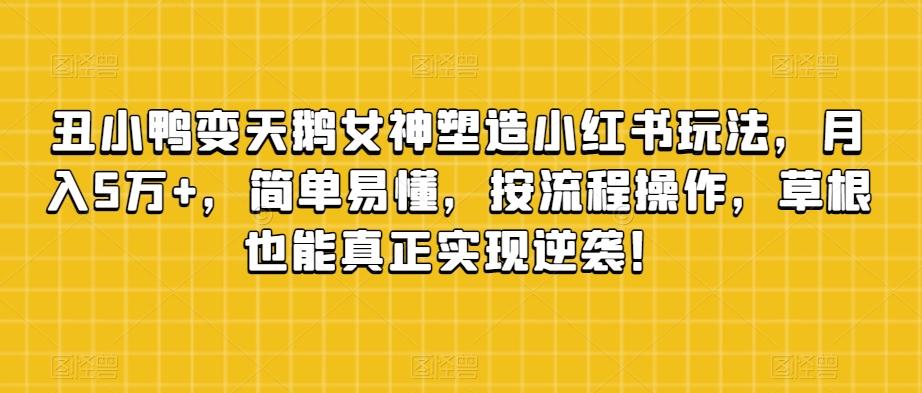 丑小鸭变天鹅女神塑造小红书玩法，月入5万+，简单易懂，按流程操作，草根也能真正实现逆袭！-网创资源
