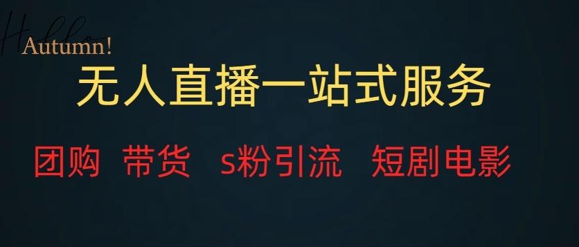 无人直播一站式服务（教程以及变现方式）-网创资源
