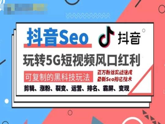 抖音SEO引流培训课程-抓住抖音风口，实现搜索排名，获取精准流量，快速成交变现-网创资源