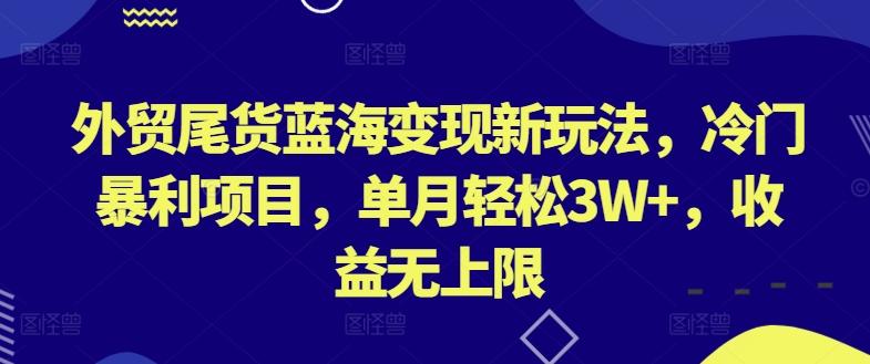 外贸尾货蓝海变现新玩法，冷门暴利项目，单月轻松3W+，收益无上限【揭秘】-网创资源