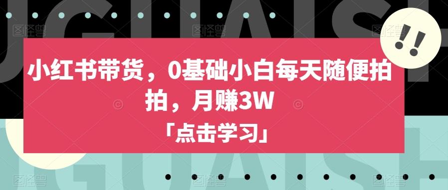 小红书带货，0基础小白每天随便拍拍，月赚3W【揭秘】-网创资源