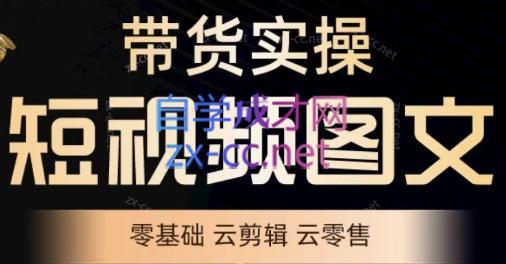鑫哥·2024零基础短视频带货实操营-网创资源