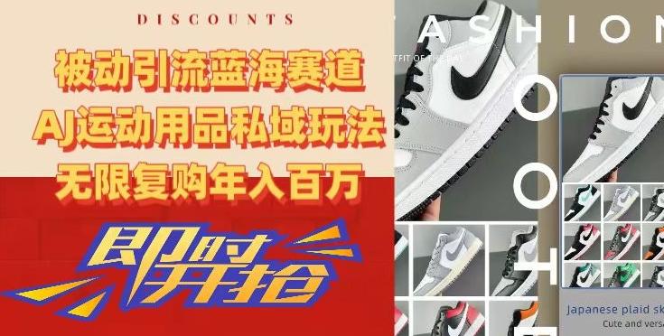 被动引流蓝海赛道，AJ运动用品私域玩法，无限复购年入百万【揭秘】-网创资源
