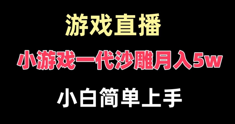 玩小游戏一代沙雕月入5w，爆裂变现，快速拿结果，高级保姆式教学【揭秘】-网创资源