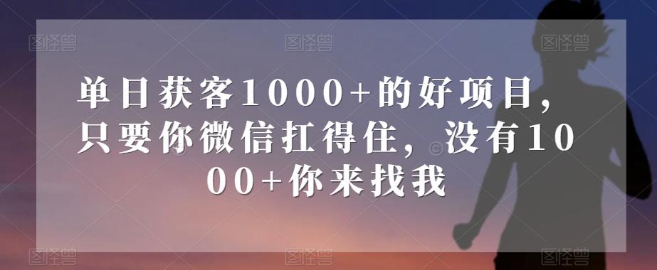 单日获客1000+的好项目，只要你微信扛得住，没有1000+你来找我【揭秘】-网创资源