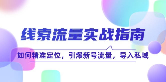 线 索 流 量-实战指南：如何精准定位，引爆新号流量，导入私域-网创资源