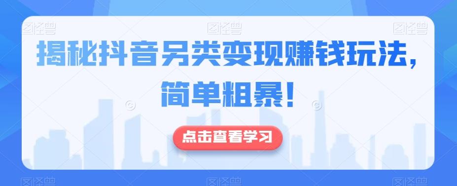 揭秘抖音另类变现赚钱玩法，简单粗暴！-网创资源