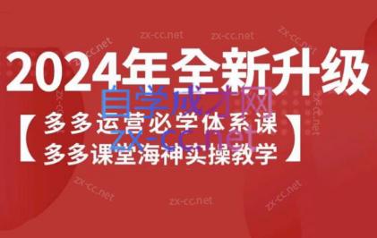 海神老师·拼多多运营必学体系课-网创资源