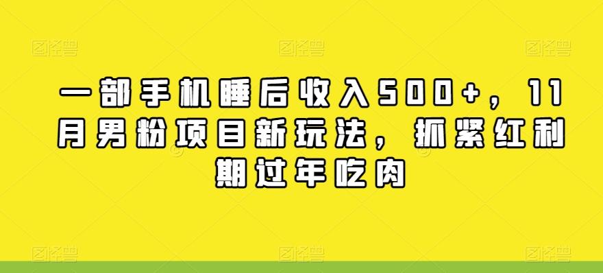 一部手机睡后收入500+，11月男粉项目新玩法，抓紧红利期过年吃肉-网创资源