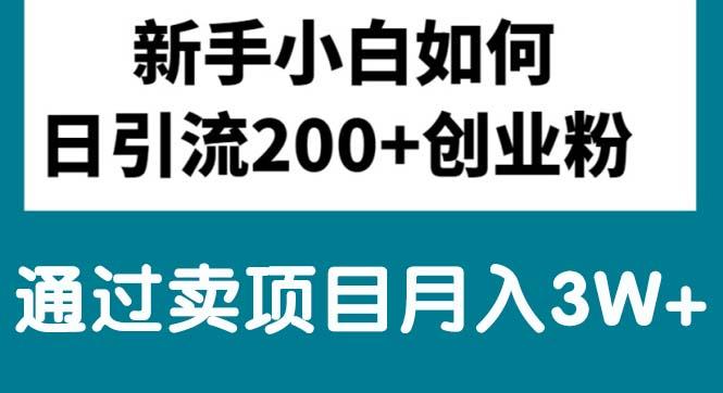新手小白日引流200+创业粉,通过卖项目月入3W+-网创资源