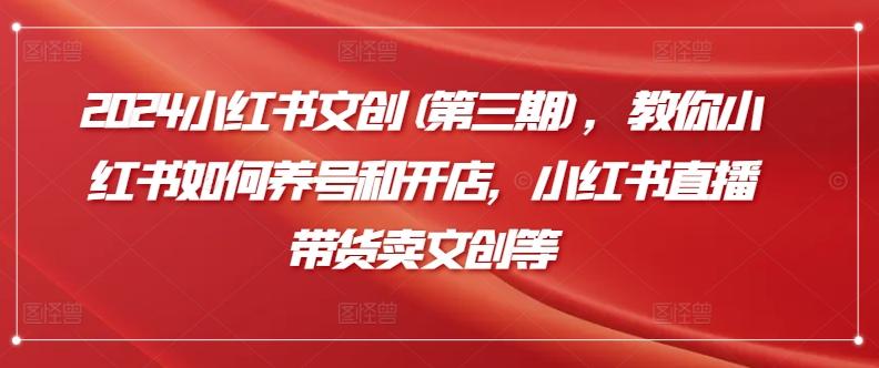 2024小红书文创(第三期)，教你小红书如何养号和开店，小红书直播带货卖文创等-网创资源