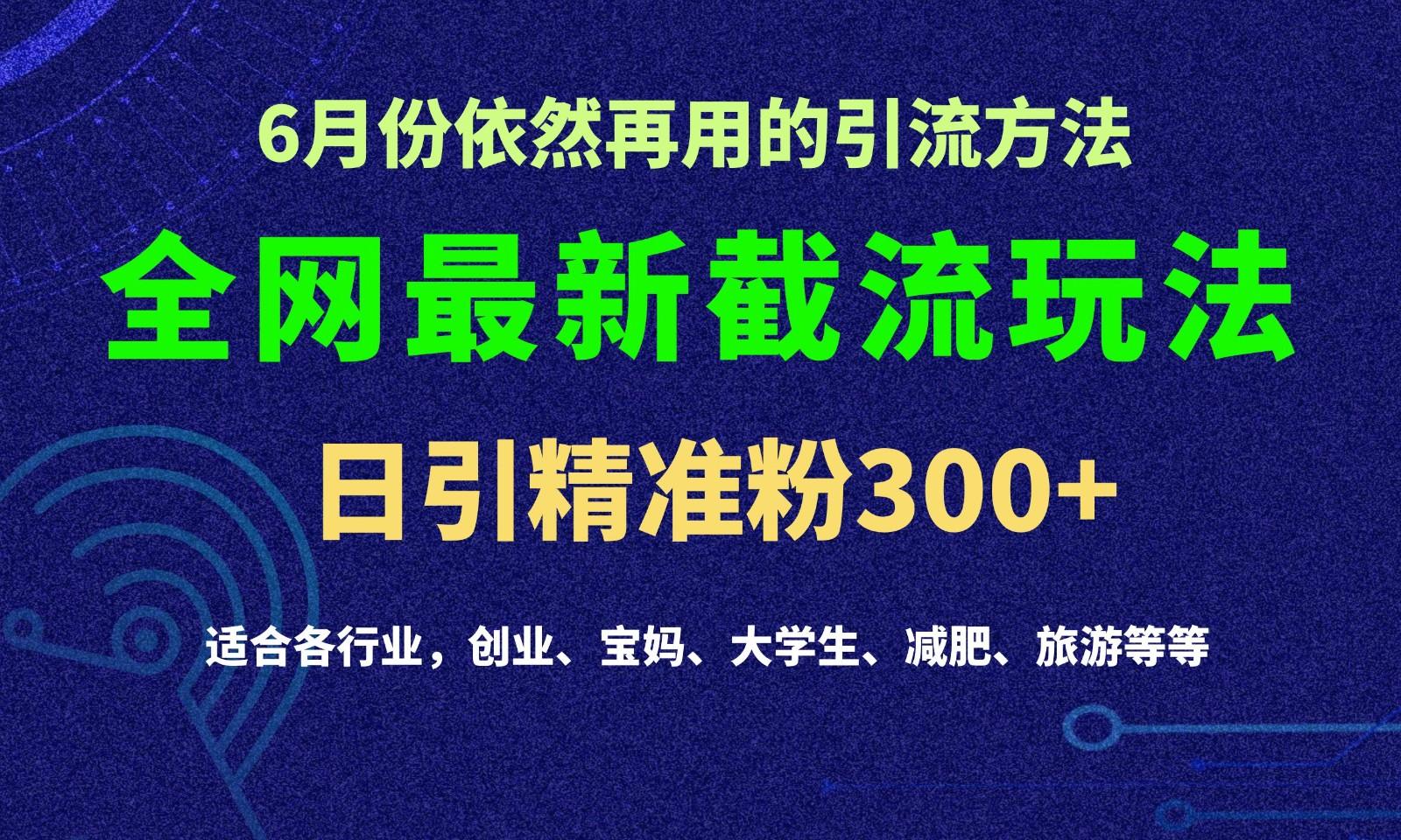 2024全网最新截留玩法，每日引流突破300+-网创资源
