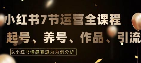 7节小红书运营实战全教程，结合最新情感赛道，打通小红书运营全流程【揭秘】-网创资源