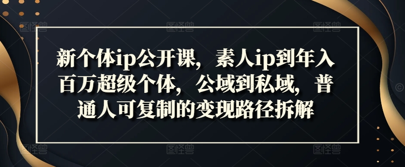 新个体ip公开课，素人ip到年入百万超级个体，公域到私域，普通人可复制的变现路径拆解-网创资源