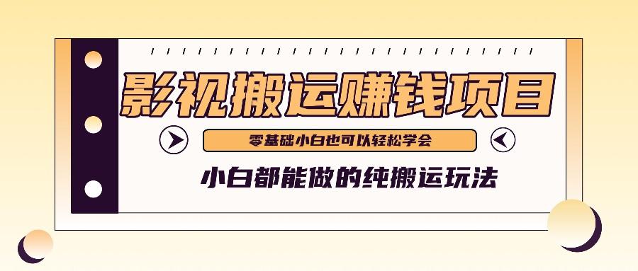 手把手教你操作影视搬运项目，小白都能做零基础也能赚钱-网创资源