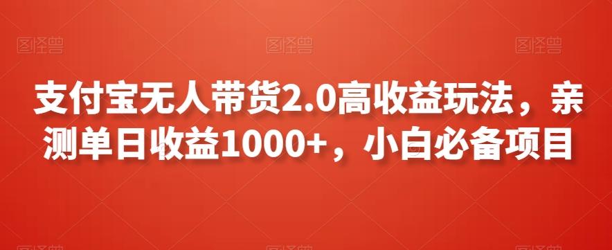 支付宝无人带货2.0高收益玩法，亲测单日收益1000+，小白必备项目【揭秘】-网创资源