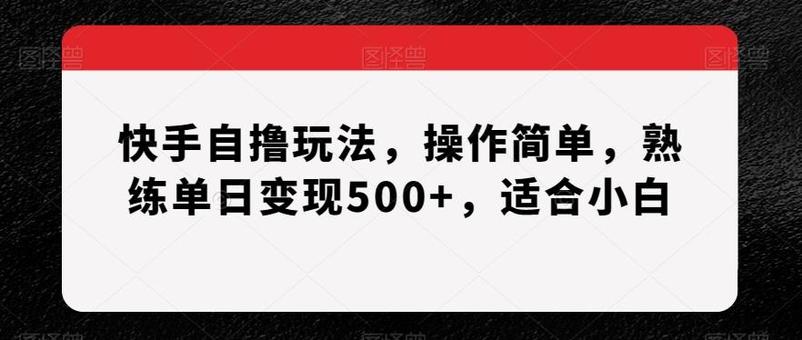 快手自撸玩法，操作简单，熟练单日变现500+，适合小白【揭秘】-网创资源
