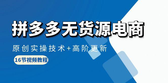 (10015期)拼多多无货源电商，原创实操技术+高阶更新(16节视频教程)-网创资源