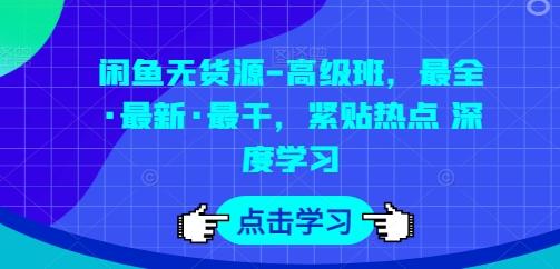 闲鱼无货源-高级班，最全·最新·最干，紧贴热点 深度学习-网创资源