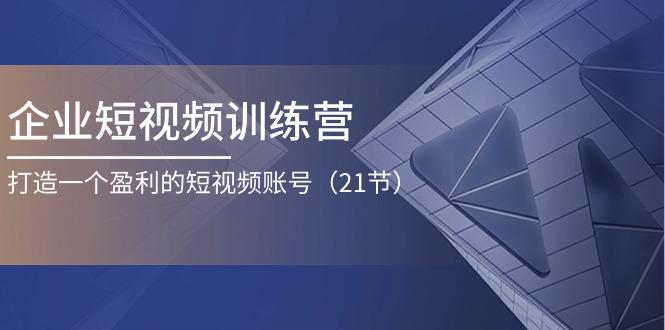 企业短视频训练营：打造一个盈利的短视频账号(21节-网创资源