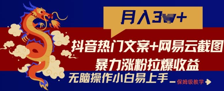 抖音热门文案+网易云截图暴力涨粉拉爆收益玩法，小白无脑操作，简单易上手【揭秘】-网创资源