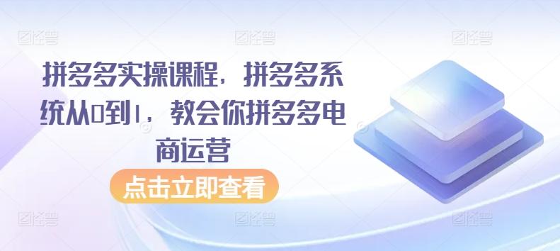 拼多多实操课程，拼多多系统从0到1，教会你拼多多电商运营-网创资源