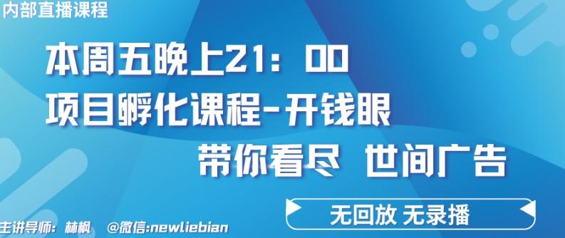 4.26日内部回放课程《项目孵化-开钱眼》赚钱的底层逻辑【揭秘】-网创资源
