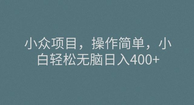 小众项目，操作简单，小白轻松无脑日入400+-网创资源