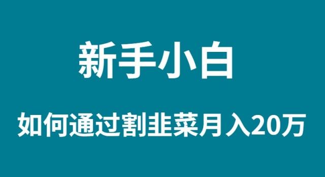 (9308期)新手小白如何通过割韭菜月入 20W-网创资源