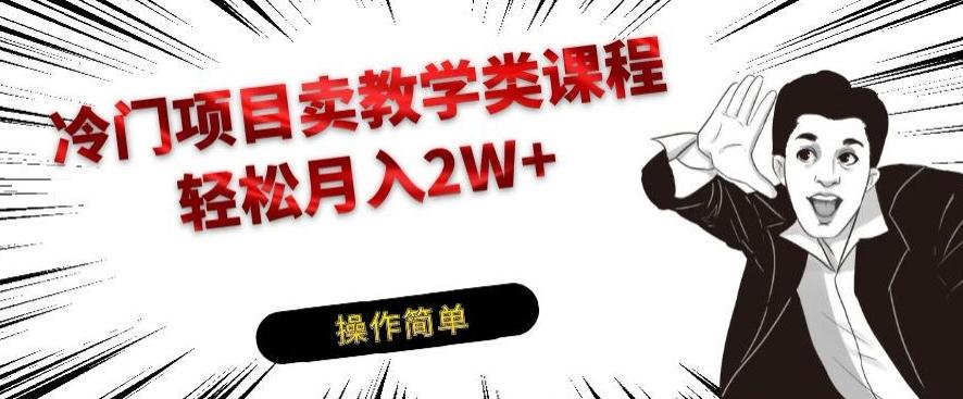 冷门项目卖教学类课程，轻松月入2W+-网创资源