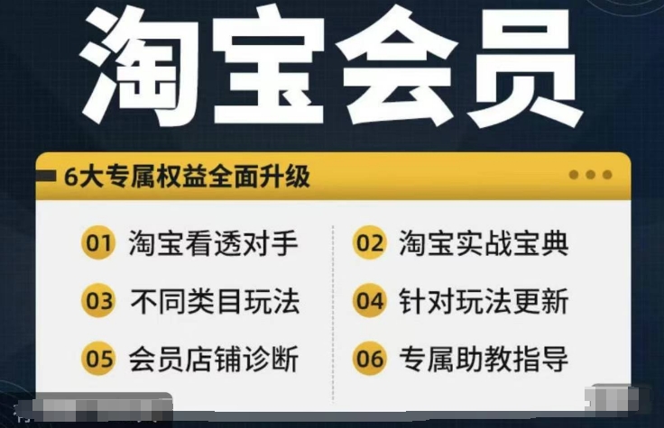 淘宝会员【淘宝所有课程，全面分析对手】，初级到高手全系实战宝典-网创资源