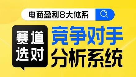 电商盈利8大体系·赛道选对，​竞争对手分析系统线上课-网创资源